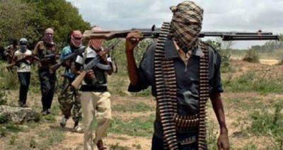 "Boko Haram"ın girov götürdüyü 387 nəfər xilas edildi
