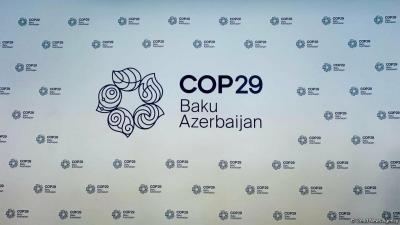 "COP29 bütün region üçün mühüm hadisədir" -  Veronika Baqi