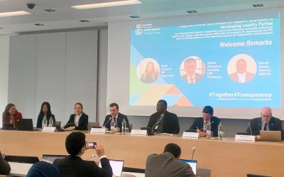 COP29 sədrliyi İkiillik Şəffaflıq Hesabatlarının hazırlanması üzrə müzakirələrdə iştirak edib