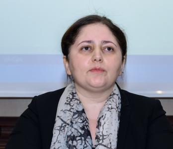 "Beynəlxalq təmsilçilikdə qadınların roluna dair məlumatları əldə edə bilmədik" - Aynur Sofiyeva