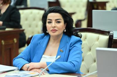 Azərbaycan ŞƏT ölkələri ilə yaxşı münasibətlər qurub - Fatma Yıldırım