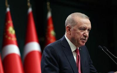 Ərdoğan: "Merih Dəmirala verilən cəza siyasidir"