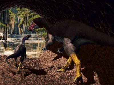 Alimlər yeni dinozavr növü aşkar ediblər