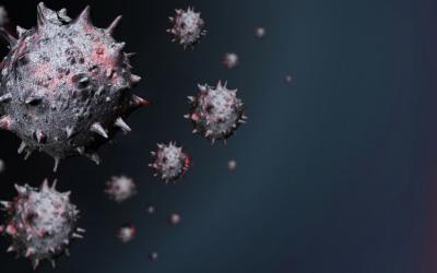 Hindistanda peyvəndi olmayan ölümcül virus yayılır