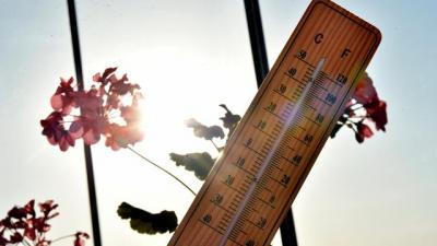 Avstraliyada 41,6 dərəcə ilə qış temperaturu rekordu qırılıb