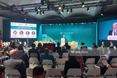COP29-da su, enerji, ərzaq və ekosistemlər üzrə regional əməkdaşlıq müzakirə olunub