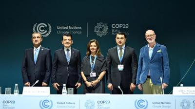 “İqlim üçün mədəniyyət: gənclərin davranış dəyişikliyinin formalaşdırılmasına cəlb edilməsi" mövzusunda panel sessiyası keçirilib