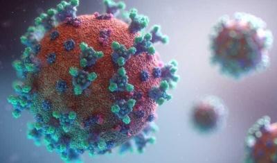Konqoda naməlum virus 143 nəfərin ölümünə səbəb olub