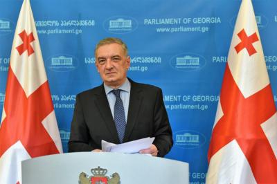 Gürcüstan parlamentinin vitse-spikeri: 3+3 platformasında nə siyasi, nə də iqtisadi iştirakda maraqlıyıq