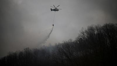 Cənubi Koreyada meşə yanğınına müdaxilə edərkən qəzaya uğrayan helikopterin pilotu ölüb