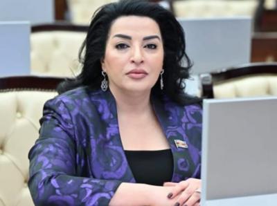 “Azərbaycanla Çin dost və tərəfdaş ölkələrdir"