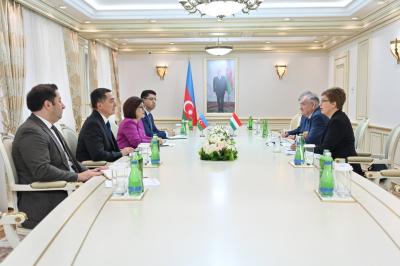 Sahibə Qafarova Macarıstan Milli Assambleyasının sədr müavini ilə görüşüb