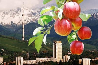 Almatı Mərkəzi Asiyanın ən yaxşı şəhəri seçilib