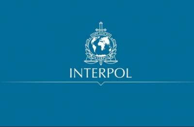 İnterpol: Uşaqların cinsi istismarı ilə bağlı 12 ölkədə 20 nəfər həbs edilib