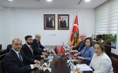 Türkiyə və Ermənistan XİN rəsmiləri ikitərəfli məsələləri müzakirə ediblər