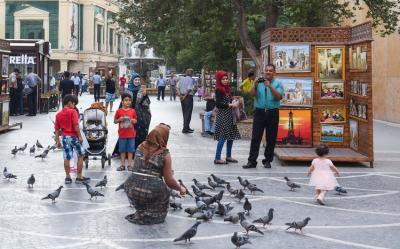 Azərbaycana turist axını 1 % azalıb