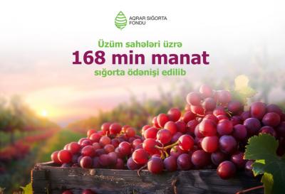 Üzüm sahələri üzrə 168 min manat sığorta ödənişi edilib
