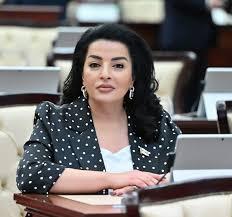 "Otuz ildən sonra Qarabağa qayıdış artıq reallıqdır" - Millət vəkili