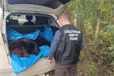 Ayı 70 yaşlı kişini öldürdü