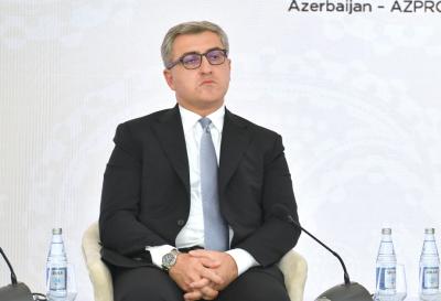 "Bu ildən ixracatçılara əlavə dəstək mexanizmləri təqdim olunacaq" -  AZPROMO