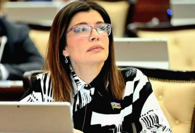 “Bu il dövlət büdcəsində kino sahəsinə vəsaitin ayrılmaması müəyyən narahatlıq doğurur” -  Günay Əfəndiyeva