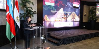 Qahirədə Azərbaycan və Misir şirkətlərinin iştirakı ilə biznes forum keçirilib