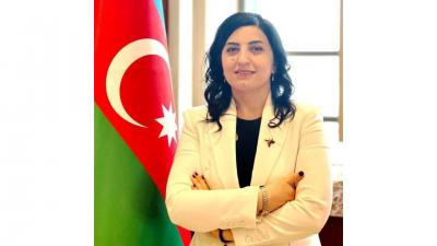 Təhsil sistemində milli dil məsələsi:  müasir çağırışlar kontekstində