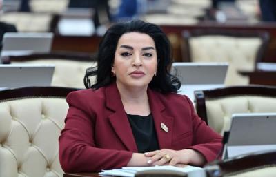 "Slovakiya ilə Azərbaycanın tarixən dost və strateji tərəfdaşlıq əlaqələri var" -  Millət vəkili