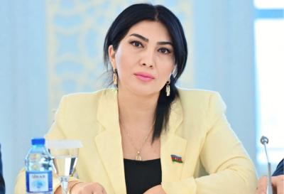 “Bu, strateji sənəd kimi mühüm əhəmiyyət kəsb edir” -  Millət vəkili