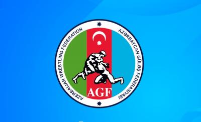 Azərbaycanın güləş millilərinin üzvləri tibbi testlərdən keçiblər