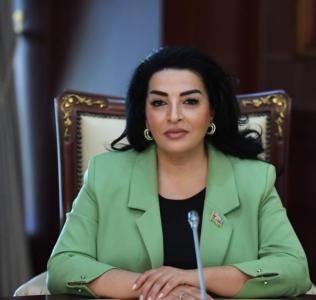 Gənclərimiz Azərbaycanın haqq səsini dünya ictimaiyyətinə çatdırmaqda mühüm rol oynayıblar- Millət vəkili