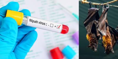 Hindistanda Nipah virusu həyəcanı