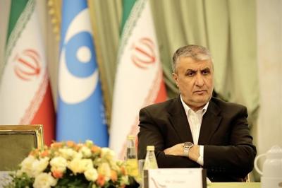 “İran uranın zənginləşdirilməsi səviyyəsini endirməyə hazırdır” -  Vitse-prezident 