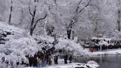Nyu-Yorkda 18 nəfər soyuqdan həyatını itirib