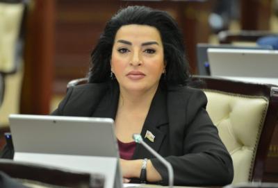 "Bu, Azərbaycanın mövqelərini qlobal miqyasda daha da möhkəmləndirir" - Millət vəkili