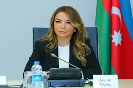 WUF13 çərçivəsində QHT-lər üçün ilk forum keçiriləcək