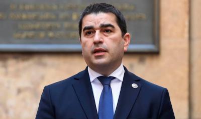 Gürcüstan parlamentinin sədri Zelenskini  nankor adlandırıb 