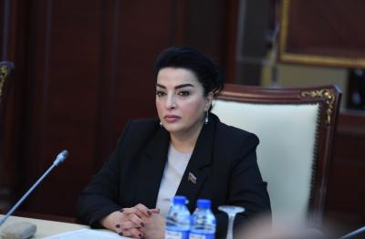 "Azərbaycan xalqına qarşı törədilən bu qanlı cinayət bütün insanlığa yönəlmiş ağır bir vəhşilik aktıdır" - Millət vəkili
