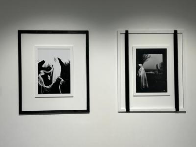 "Gazelli Art House"da "Sinxronlaşma” sərgisinin finisajı olub