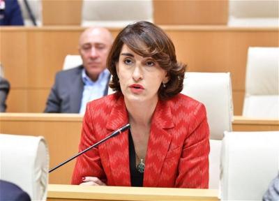 “Gürcüstan Vensin regiona səfərini müsbət qiymətləndirib” - Boçorişvili