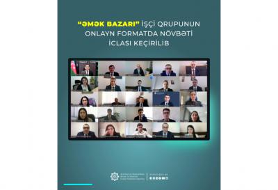“Əmək bazarı” İşçi qrupu aktiv əmək bazarı proqramlarının genişləndirilməsini araşdırıb