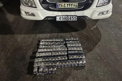 Fevralda dövlət sərhədində 10,9 milyon manatlıq qaçaqmal tutulub