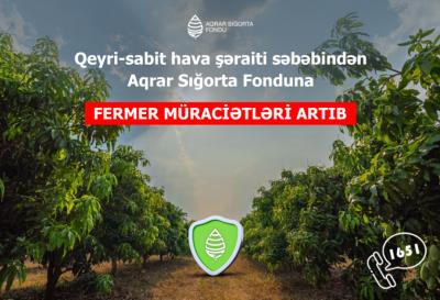 Qeyri-sabit hava şəraiti səbəbindən Aqrar Sığorta Fonduna müraciətlər artıb