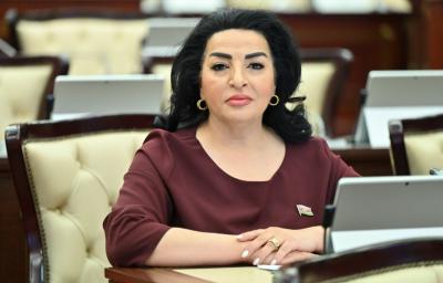 "Azərbaycan beynəlxalq enerji bazarında etibarlı tərəfdaş kimi fəaliyyətini davam etdirir" - Millət vəkili