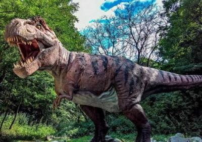 Elmə məlum olmayan dinozavr qalığı tapılıb 