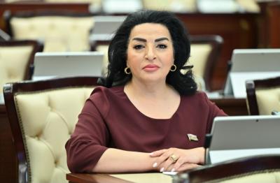 "Bu torpaqlarda həyat əbədi olaraq davam edəcək" - Millət vəkili