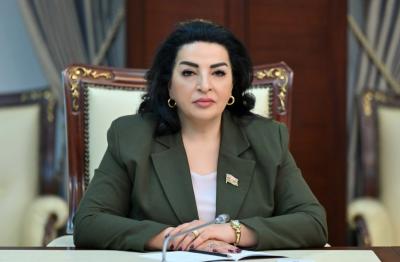Azərbaycan enerji siyasətində həm bu günün, həm də sabahın çağırışlarını nəzərə alır - Millət vəkili