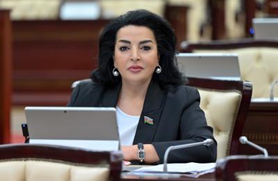 "Xalqımıza qarşı törədilmiş bu ağır cinayətlər heç vaxt unudulmayacaq" -  Millət vəkili