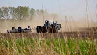Azərbaycanda payızlıq əkinlərə görə subsidiya alanların sayı 278 minə çatıb