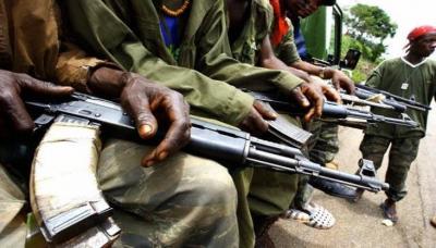 Niger ordusu 31 girovu azad etdi